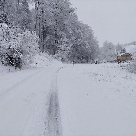 Zelena Oaza Bed & Breakfast Zgornja Kungota Bagian luar foto