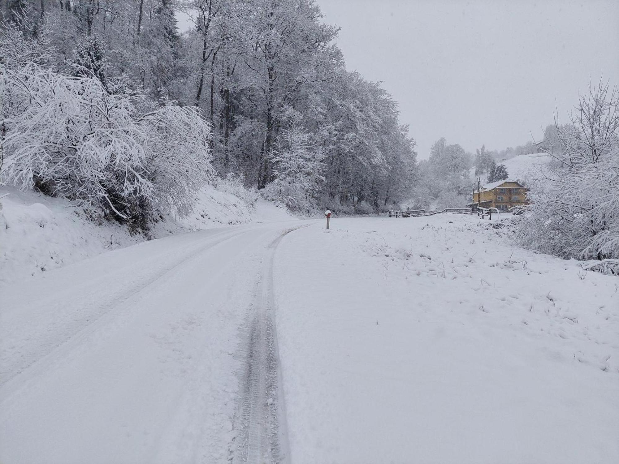 Zelena Oaza Bed & Breakfast Zgornja Kungota Bagian luar foto