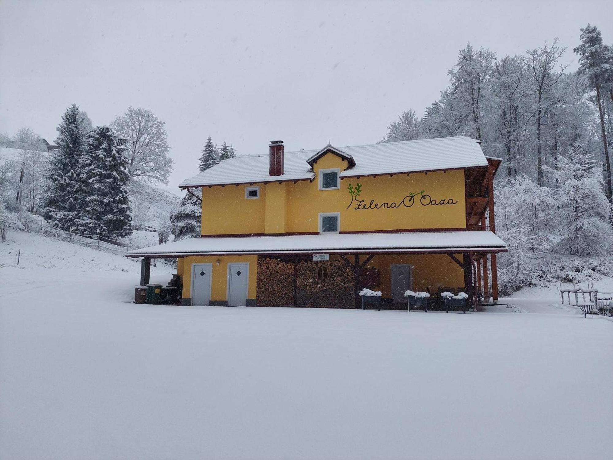 Zelena Oaza Bed & Breakfast Zgornja Kungota Bagian luar foto