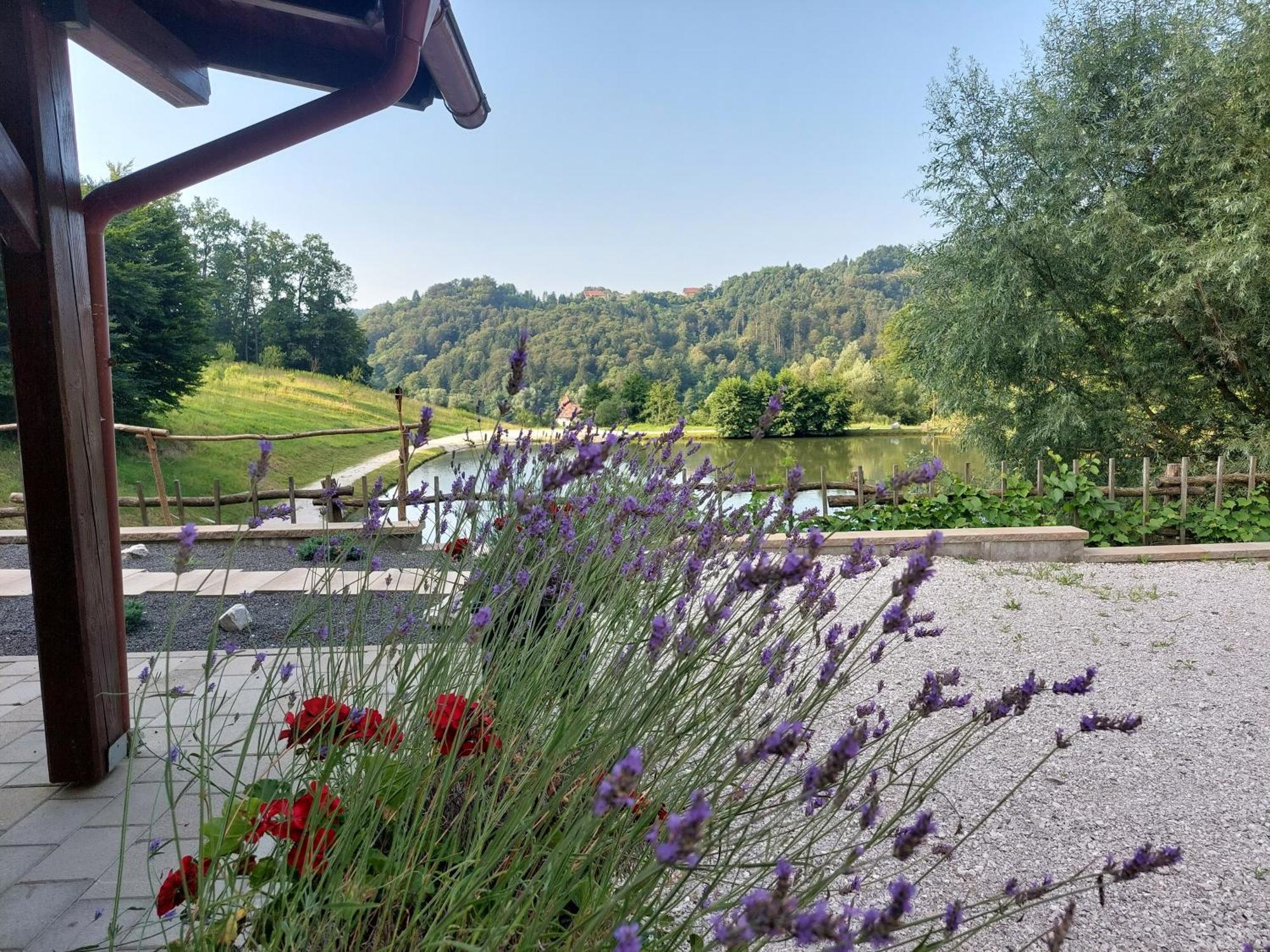 Zelena Oaza Bed & Breakfast Zgornja Kungota Bagian luar foto